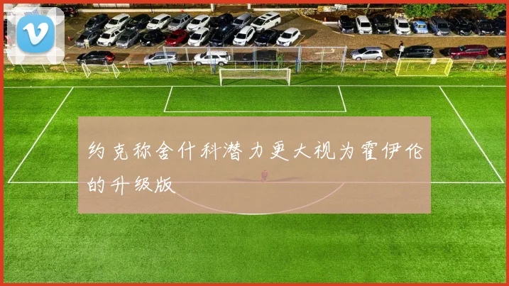 约克称舍什科潜力更大视为霍伊伦的升级版