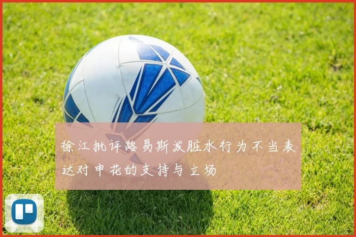 徐江批评路易斯泼脏水行为不当表达对申花的支持与立场