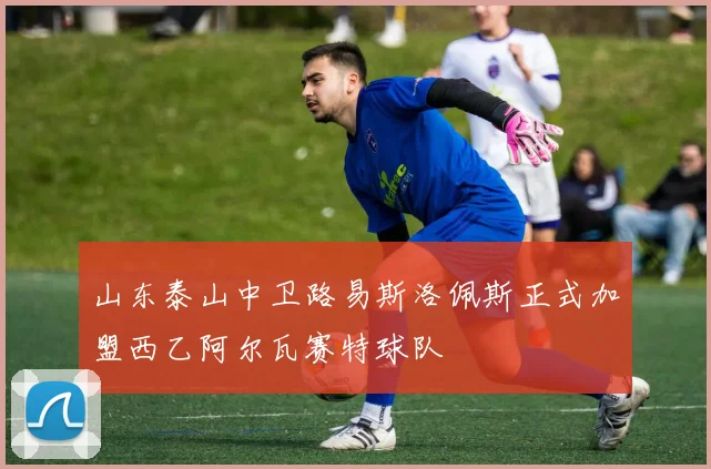 山东泰山中卫路易斯洛佩斯正式加盟西乙阿尔瓦赛特球队