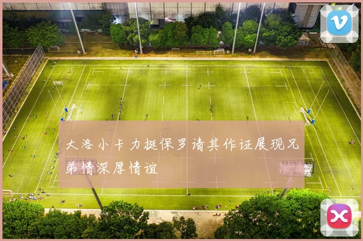 大洛小卡力挺保罗请其作证展现兄弟情深厚情谊
