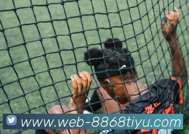 8868体育平台生态图